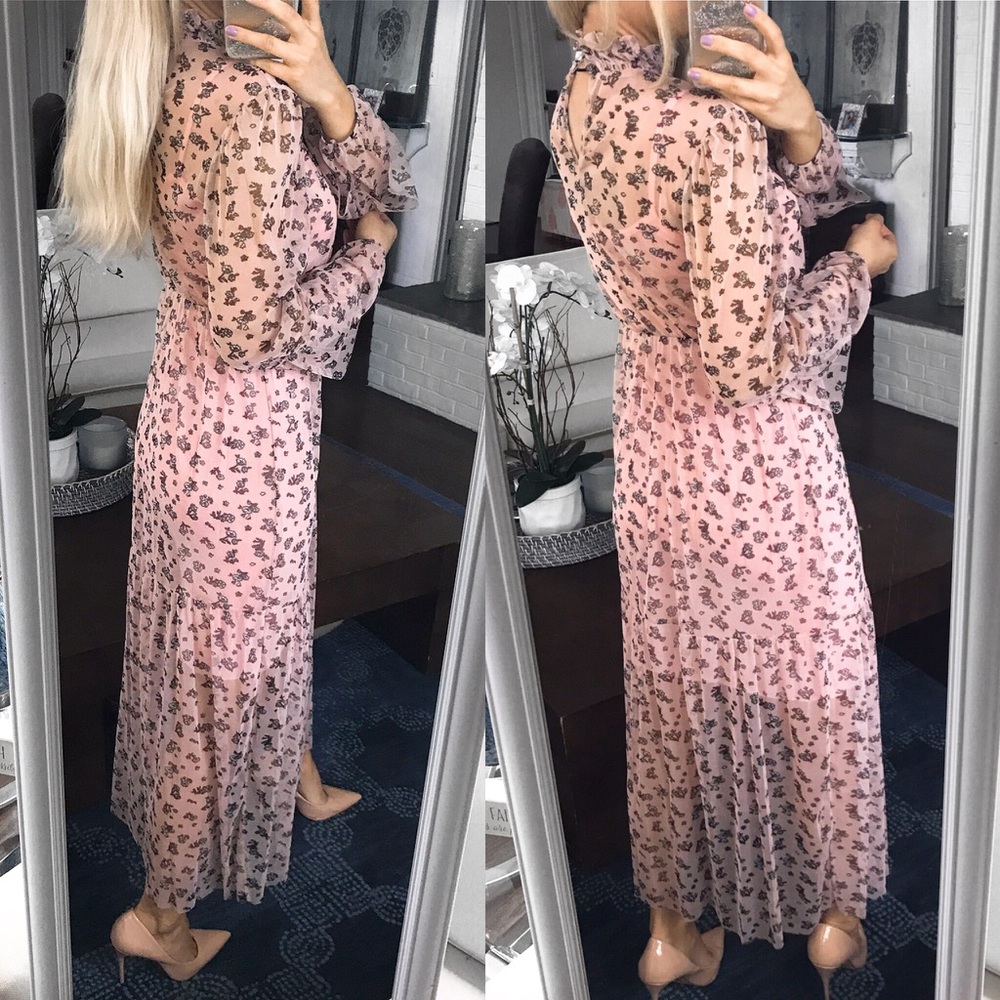 🆕BLUSH FLORAL FISHNET HIGH NECK LONG SLEEVE DRESS - Picture 4 of 11